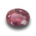 0.97 Carats | Natural Pink Sapphire |Loose Gemstone| Sri Lanka - New